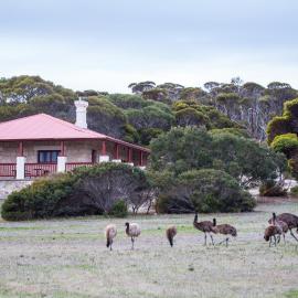 Engineers Lodge - Dhilba Guuranda-Innes National Park, Hotel in Inneston