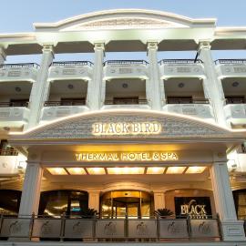 Black Bird Thermal Hotel & SPA, hotelli Gökçederessä