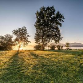CHALETS MERCURE am Wallersee zum Vermieten, hotel a Helming