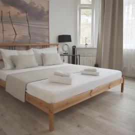 Three Rings Apartments, hotel in Karlovy Vary