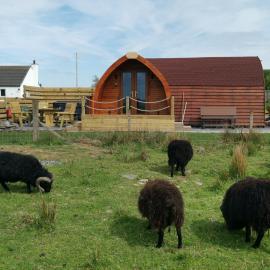 Achmeney Glamping larger than Average pod, hotel a Halkirk