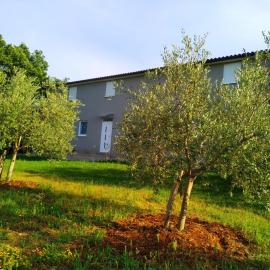 Apartments Valeria