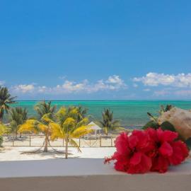 Treetops Hotel: Caye Caulker şehrinde bir otel
