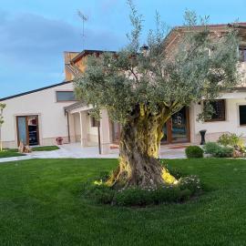 Balneum Rooms & SPA, hotel v destinaci Mirabella Eclano