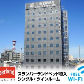 HOTEL LiVEMAX Okazaki, hotel en Okazaki