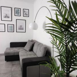 Dibbio's house