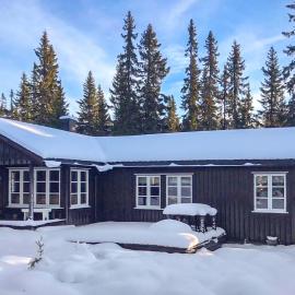 Nice Home In Sjusjøen With Wifi, hotel v mestu Sjusjøen