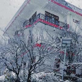 Orchid Homestay, hotel a Kandāghāt