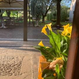 Foresteria Rustico da Bena snc, hotel di Polpenazze del Garda