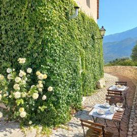 L'Armonica di Nonno Sandro