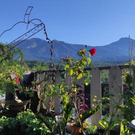 Tetebatu Terrace Homestay