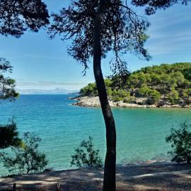 APARTMANI GOMILA