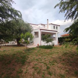 Rural Modern House