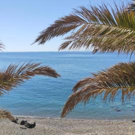 Blue Paradise