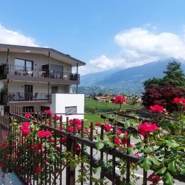 Marlingsuites - Vinea - Wieser Josef - Marling, hotel a Marlengo