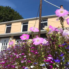 Habititabities, hotel u gradu Tenbi