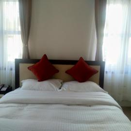 Hidden Leaf Bed & Breakfast, hotel in Pātan