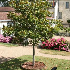 Château de Bournand B&B, hotel em Bournand