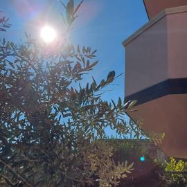 Appartamento L'Ulivo