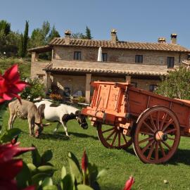 Farm stay Il Carro del Colle, hotel en Collevalenza