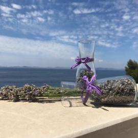 Apartmani Silvano