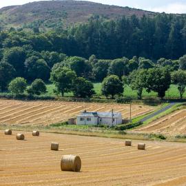 Railway Cottage, Newtyle, hotel a Newtyle