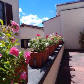 Foresteria Valdese di Firenze, Hotel in Florenz