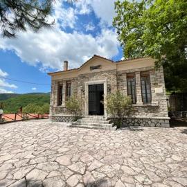 Abeliona Guesthouse, hotel Ambeliónában