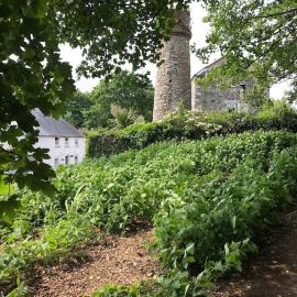 A woodland retreat - Apartment in converted mill, hotel in Helston
