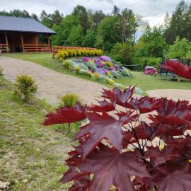 ROZTOCZE, Domek Na Leśnym Wzgórzu, Zwierzyniec, Krasnobród,Zamość, hotell i Adamów