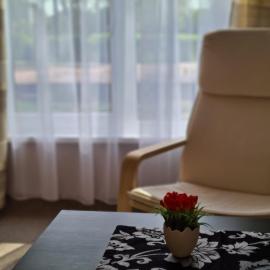 Kambarių nuoma Salantuose, hotel u gradu Salantai