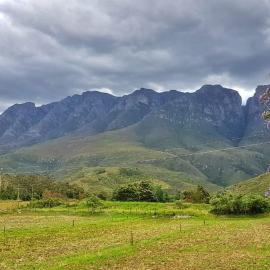 Die Hoenderhok and Die Plaashuisie, hotel in Swellendam