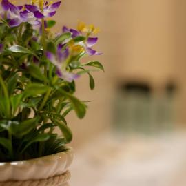 Suite Corallo - Smart Holiday