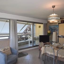 Appartement spacieux à Évian, animaux admis - FR-1-498-77