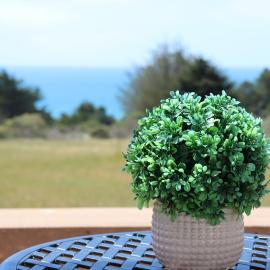 Cozy Getaway with Ocean View and Private Entrance!, khách sạn ở Gualala