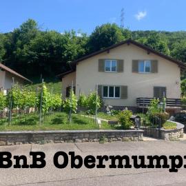 Bed n Breakfast Obermumpf, Hotel in Stein
