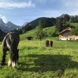 Au Pré des Chevaux, hotel i Château-d'Oex