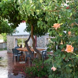 Guardia Piemontese: Ideale per Mare e Terme