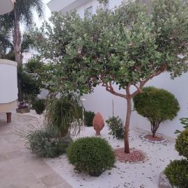 Sofia, hotel di Castro di Lecce