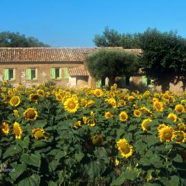 Il Canto di Kokopelli Country Houses, hotel a Brattirò