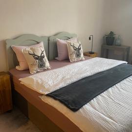 Apartment Stará Pošta, hotel di Hartmanice