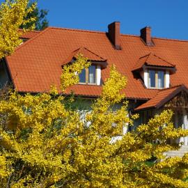 Fereczata, hotel in Wetlina
