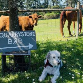 Quarrystone House B&B, hotel in Fernwood