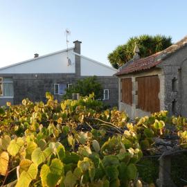 Casa rural Don Armando