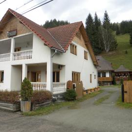 Pensiunea Irina, hotel in Botuş
