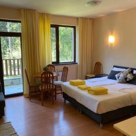 Flora Ski-slope Studio Apartment