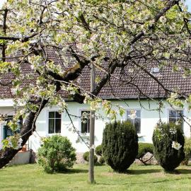 Pension Gestüt Lindenhof, hotel en Templin