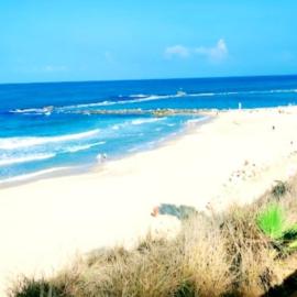 Short Term Apartment Tel Aviv Bat Yam 411