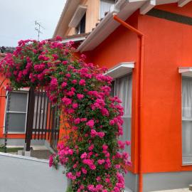 SIBARIAN Guest House: Kaga şehrinde bir otel