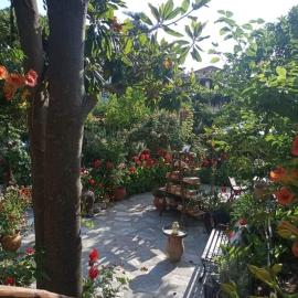 Stamatia's Garden, hotell i Agnontas